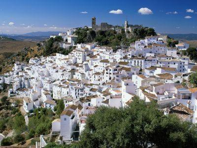 Casares Appart 2 Ch Dans Parc Tropical Avec Vue Sur Mer, Montagne Et Piscine Apartment Luaran gambar